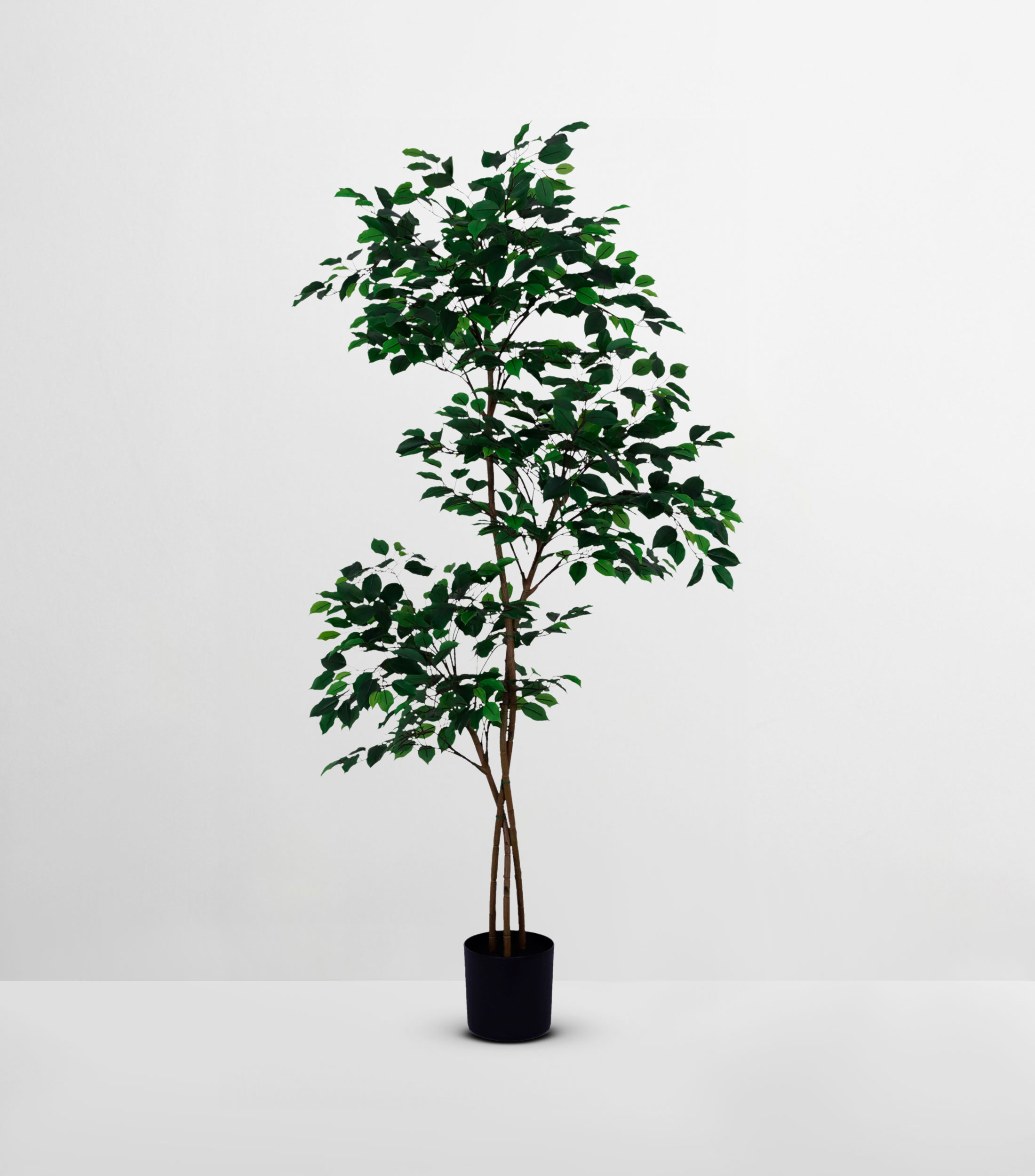 Árbol decorativo de Ficus grande artificial