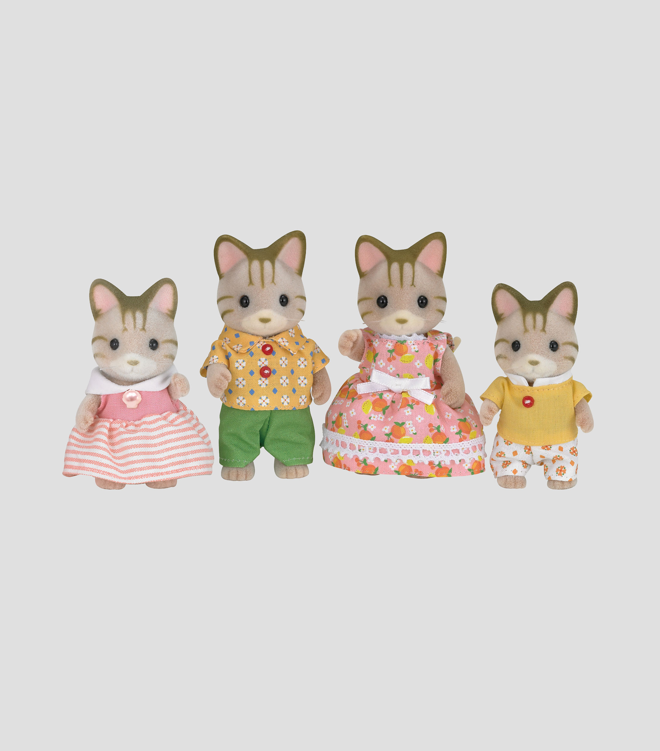 Familia Gato de Rayas
