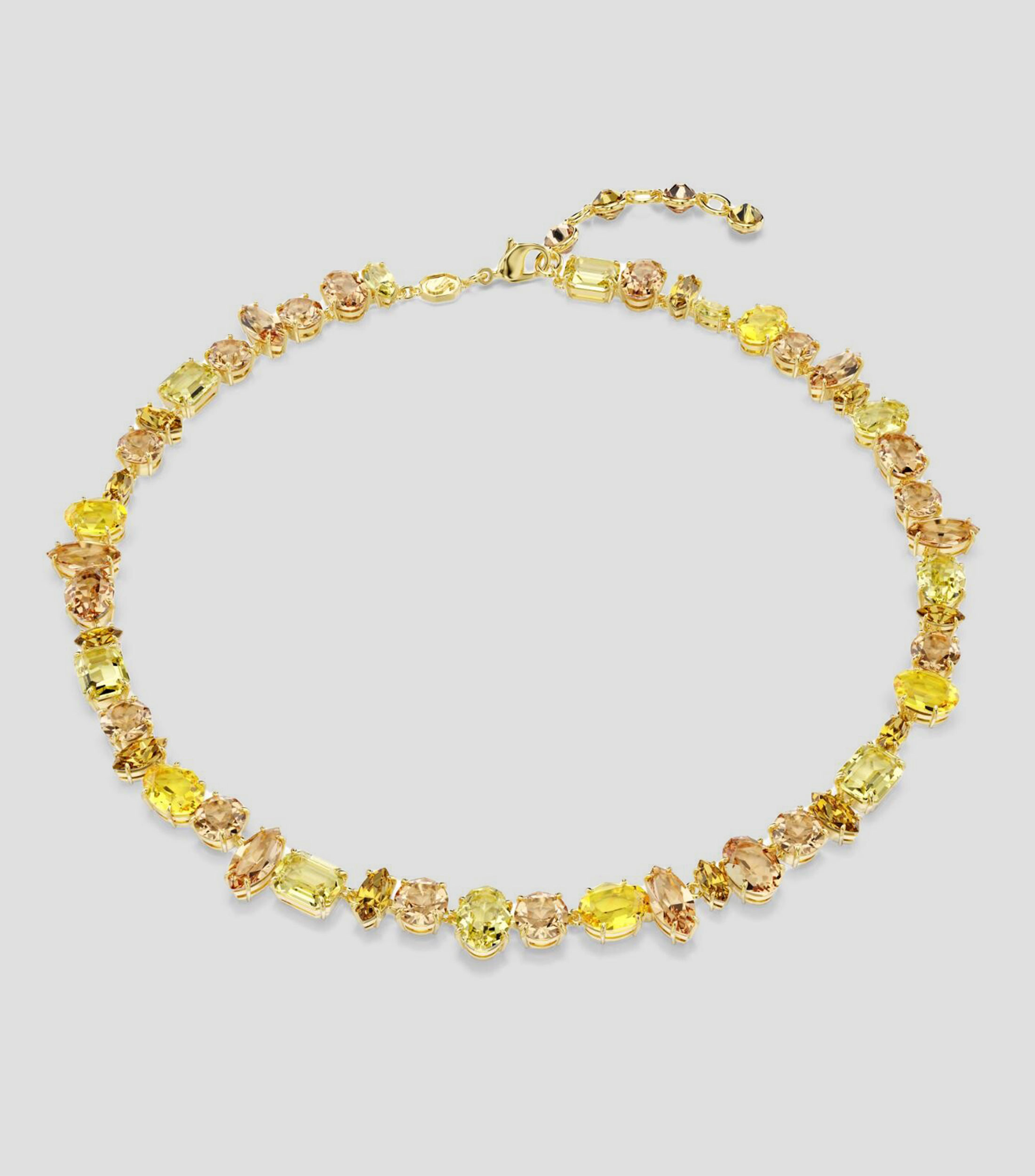 Collar Unisex