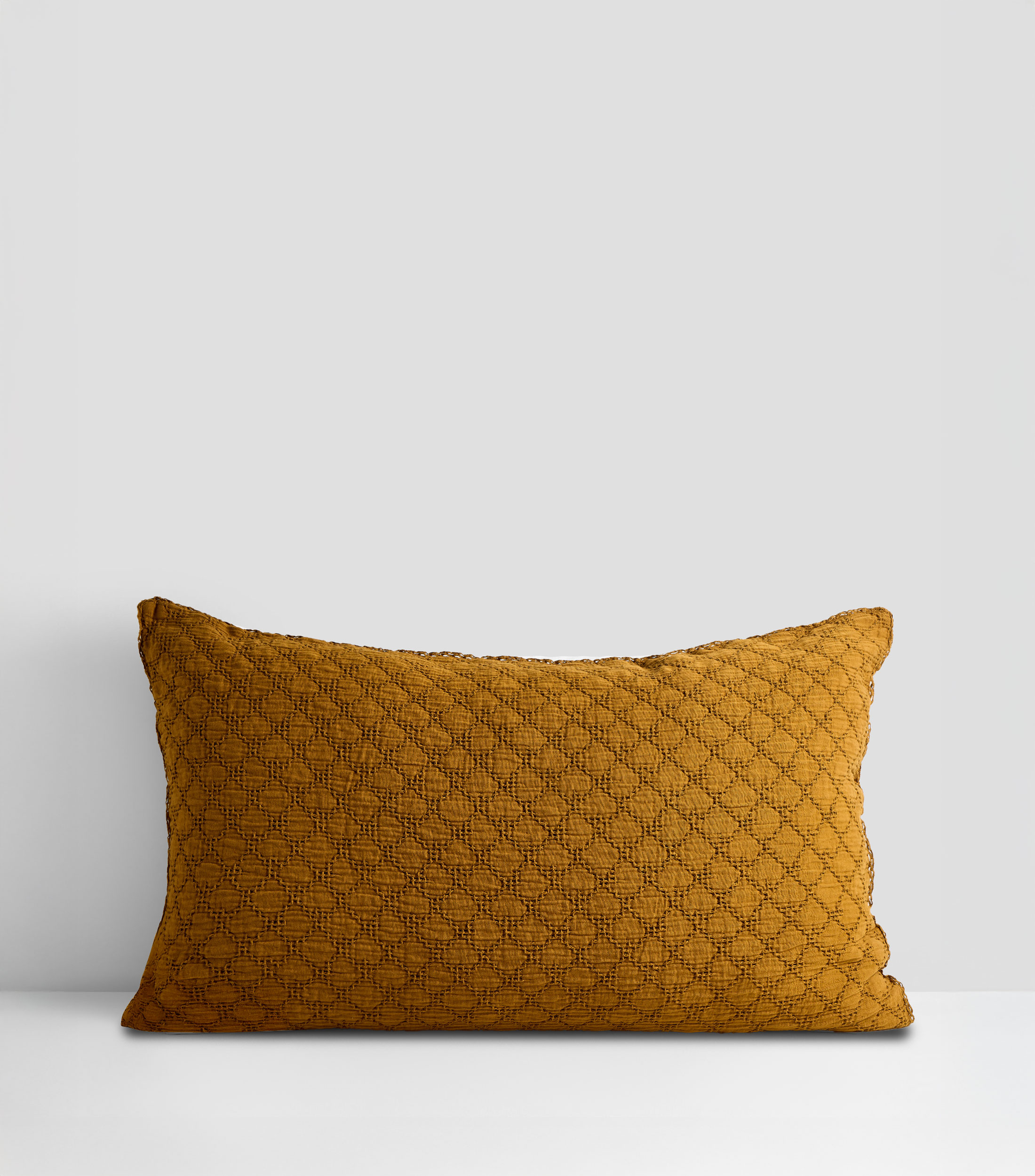 Funda para almohada Estándar en algodón terra