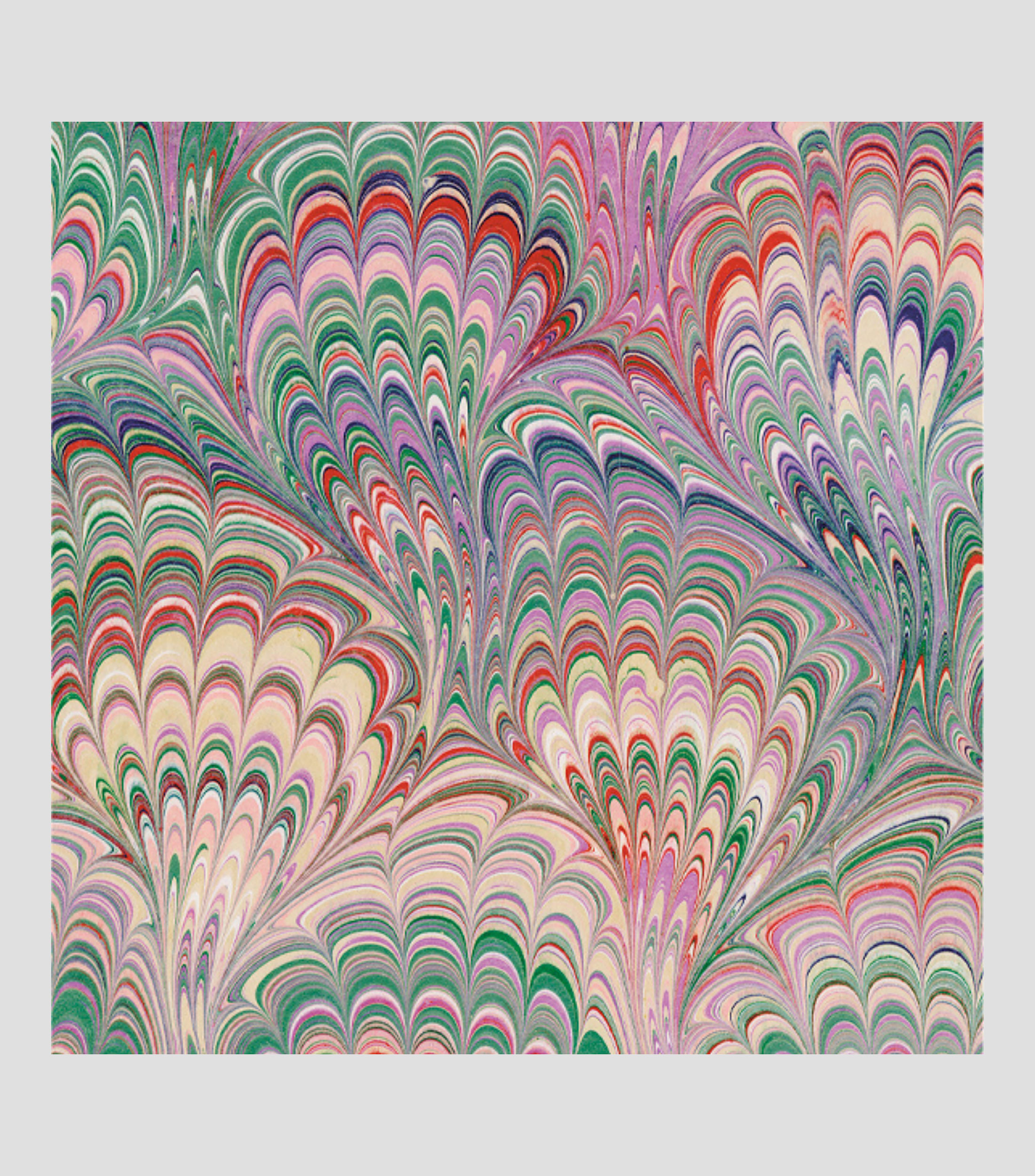 Pliego de papel tassotti Mural purpura 70 X 100 CM
