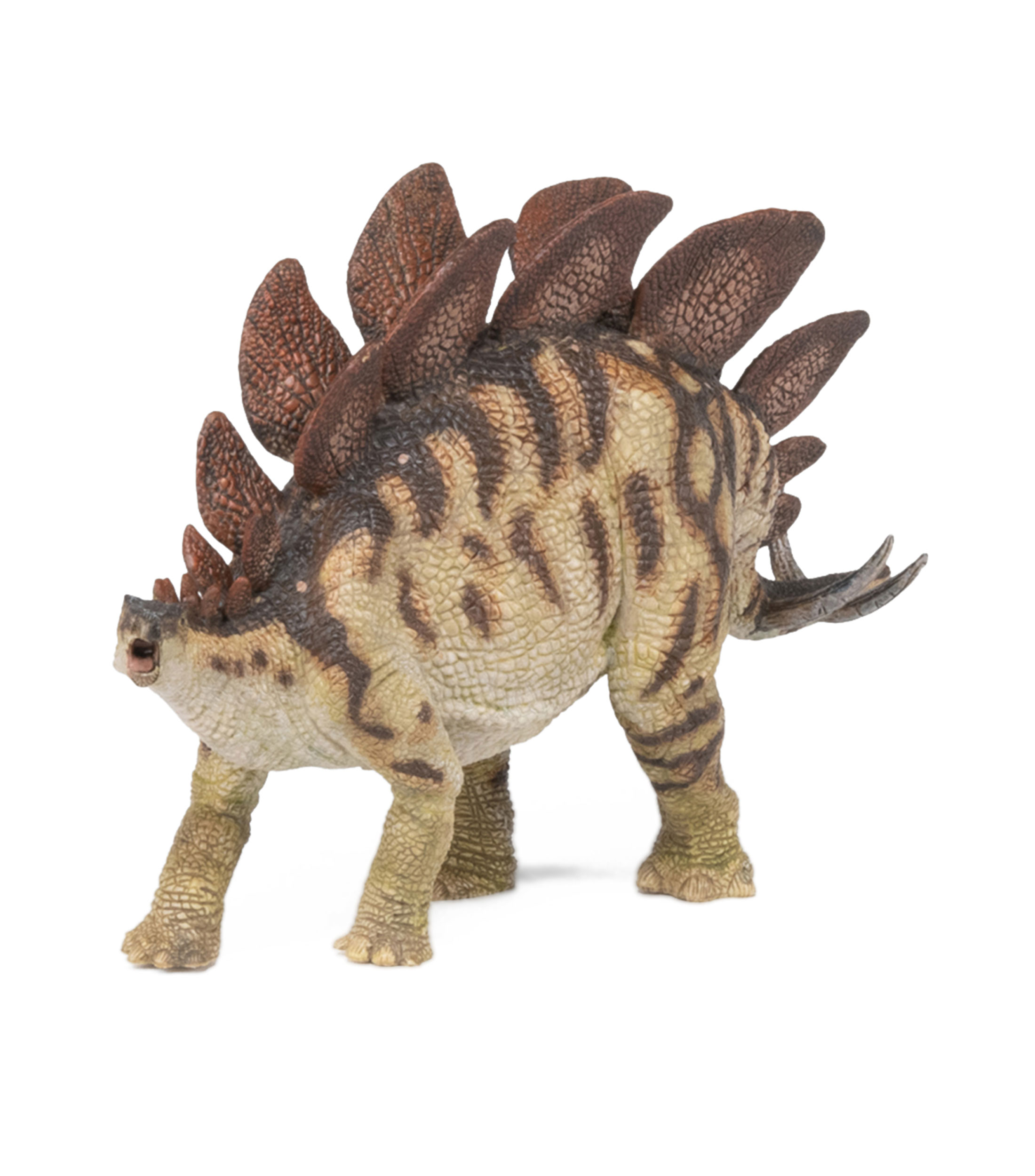 Stegosaurus