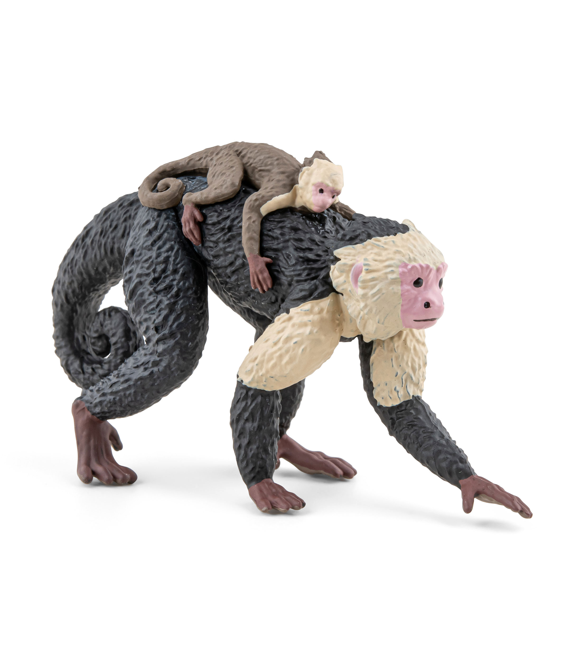 Figura de Mono Capuchino