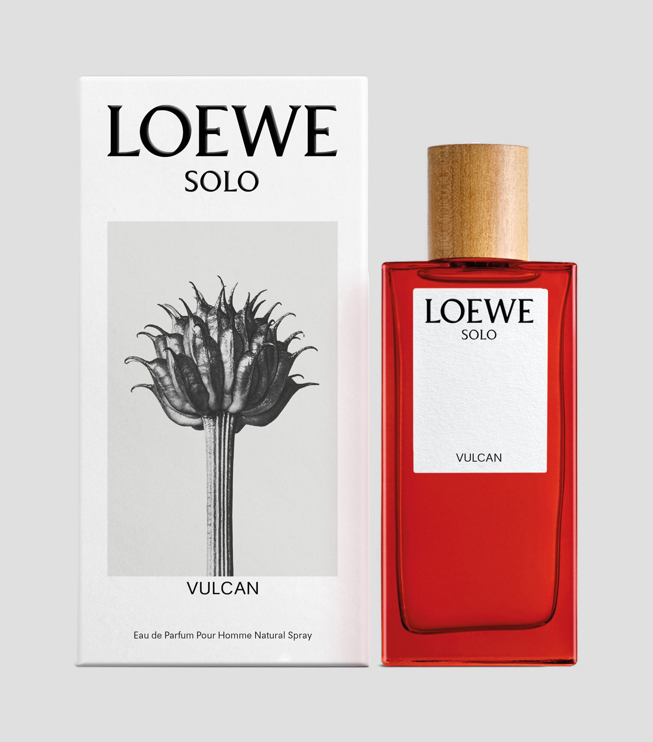 Perfume, Solo Vulcan - Accord, Eau de Parfum, 100 ml para Hombre