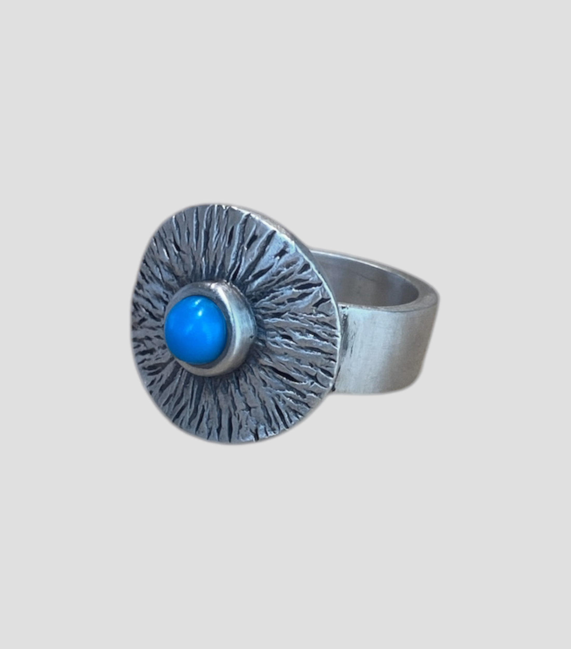 Anillo Circular en Plata .925 Hombre