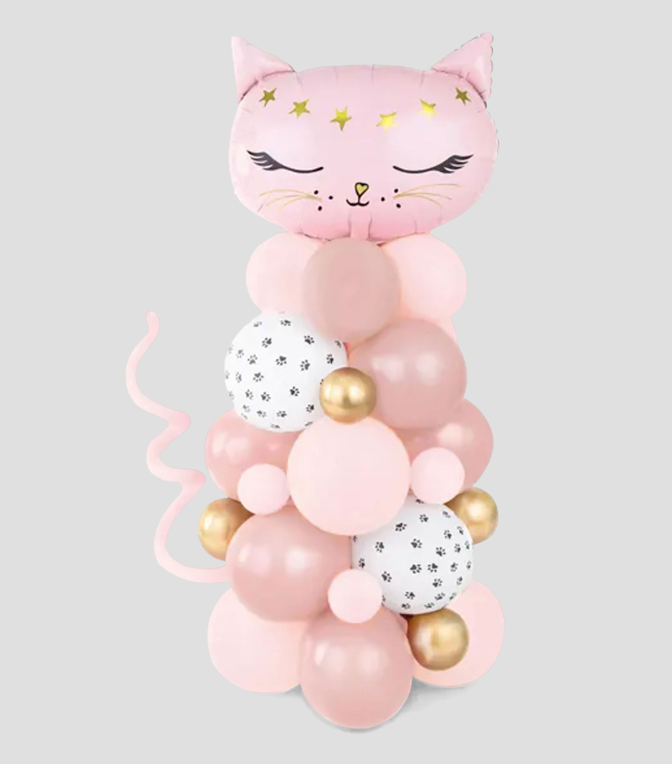 Ramo de globos, Gato de color rosa