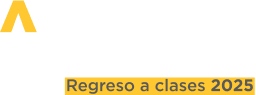 Logo Academia palacio 2025