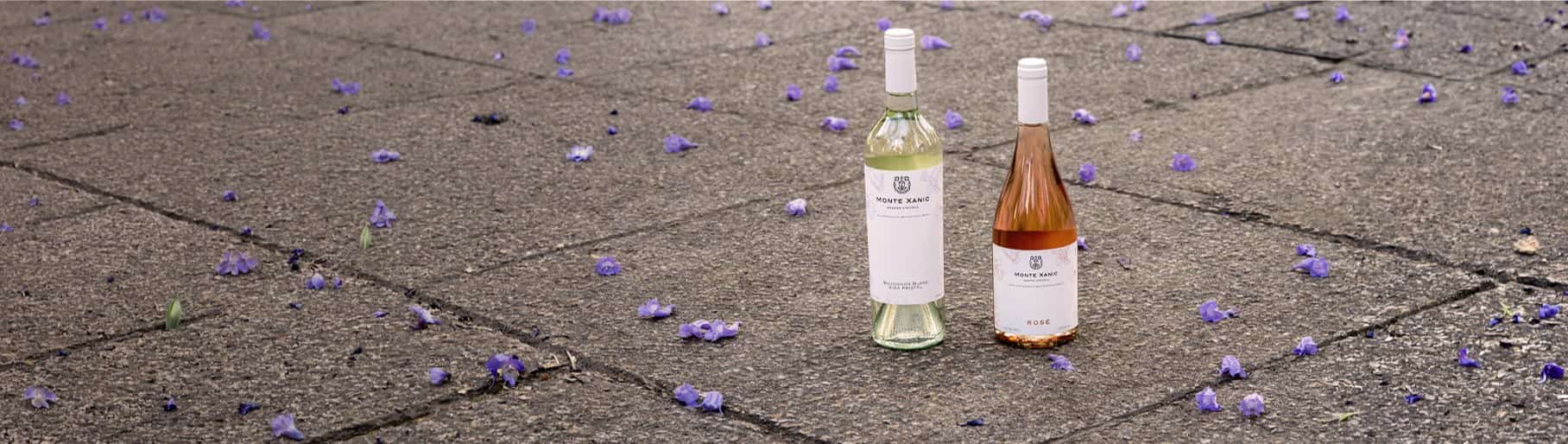 imagen de botellas de vinos de la marca MONTE XANIC