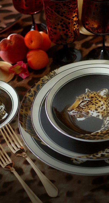imagen de la marca DOLCE&GABANNA