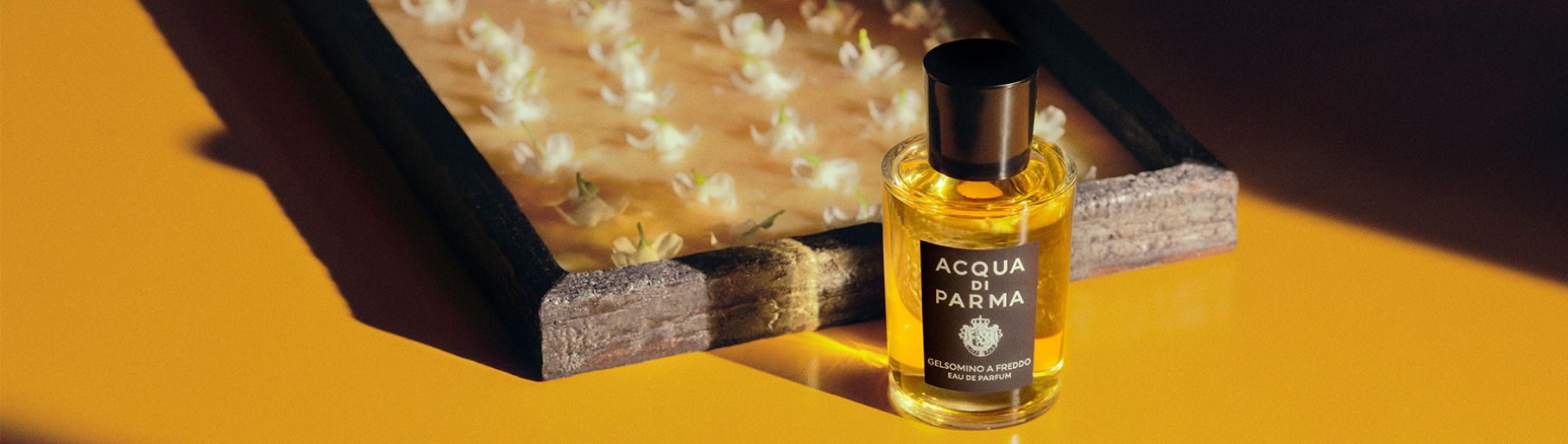 Imagen de un perfume amarillo de la marca AQUA DI PARMA
