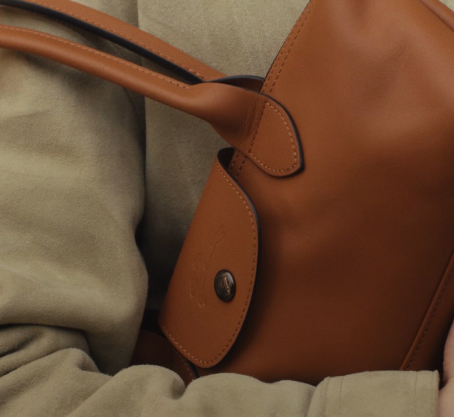 Imagen de bolso cafe. LONGCHAMP.