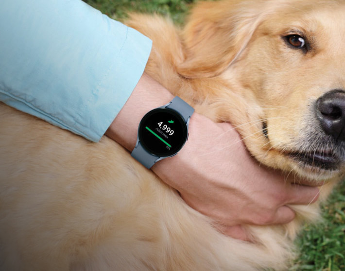 Imagen del brazo de un hombre, que esta acariciando un perro labrador, mientras lleva un reloj de color gris de la marca SAMSUNG, donde se muestran los pasos que ha dado