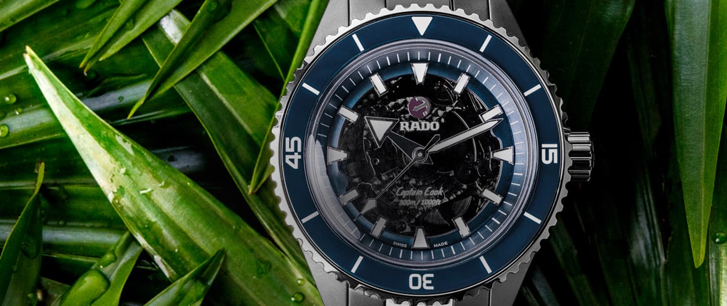 Imagen de un reloj de la marca RADO sobre unas plantas verdes, el reloj es plateado con azul y caratula negra, RADO
